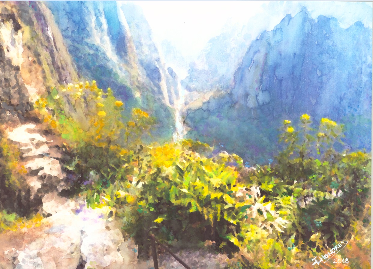 Camino Del Inca